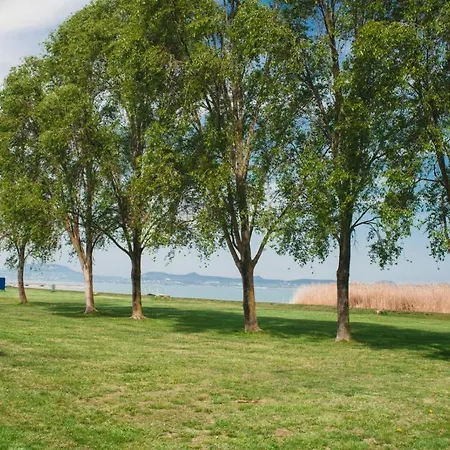 D&b Lelle * 발라톤엘